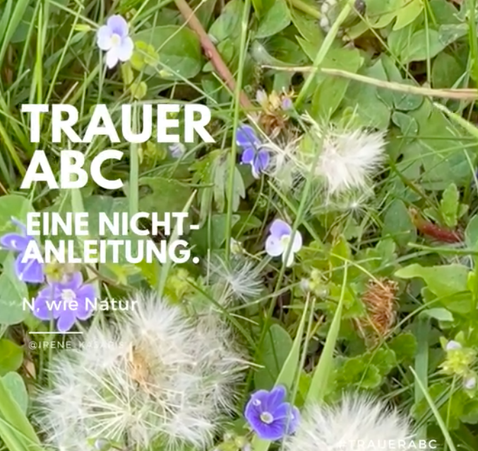 Das Trauer ABC – Buchstabe N