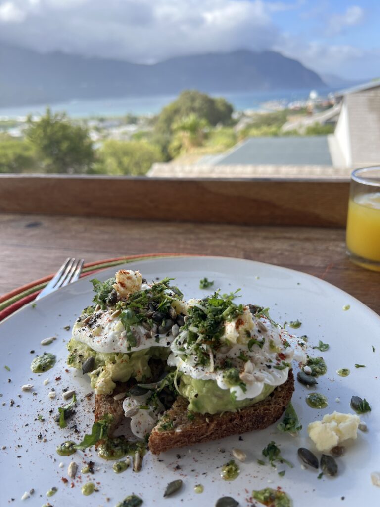 Hout Bay in Kapstadt – erster Eindruck bei meiner Yoga Rundreise Südafrika